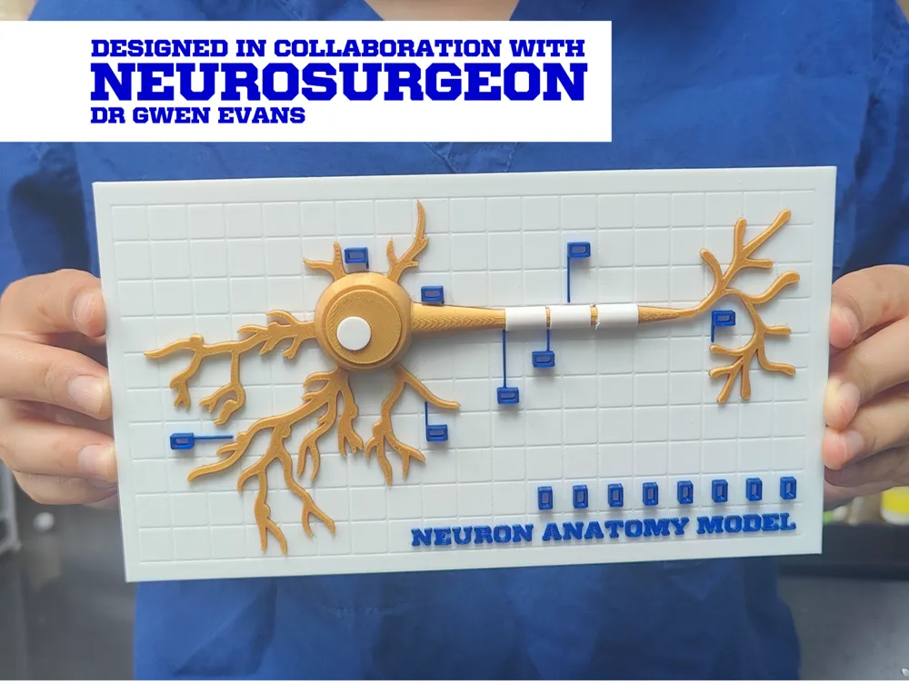 Neuron Interactive