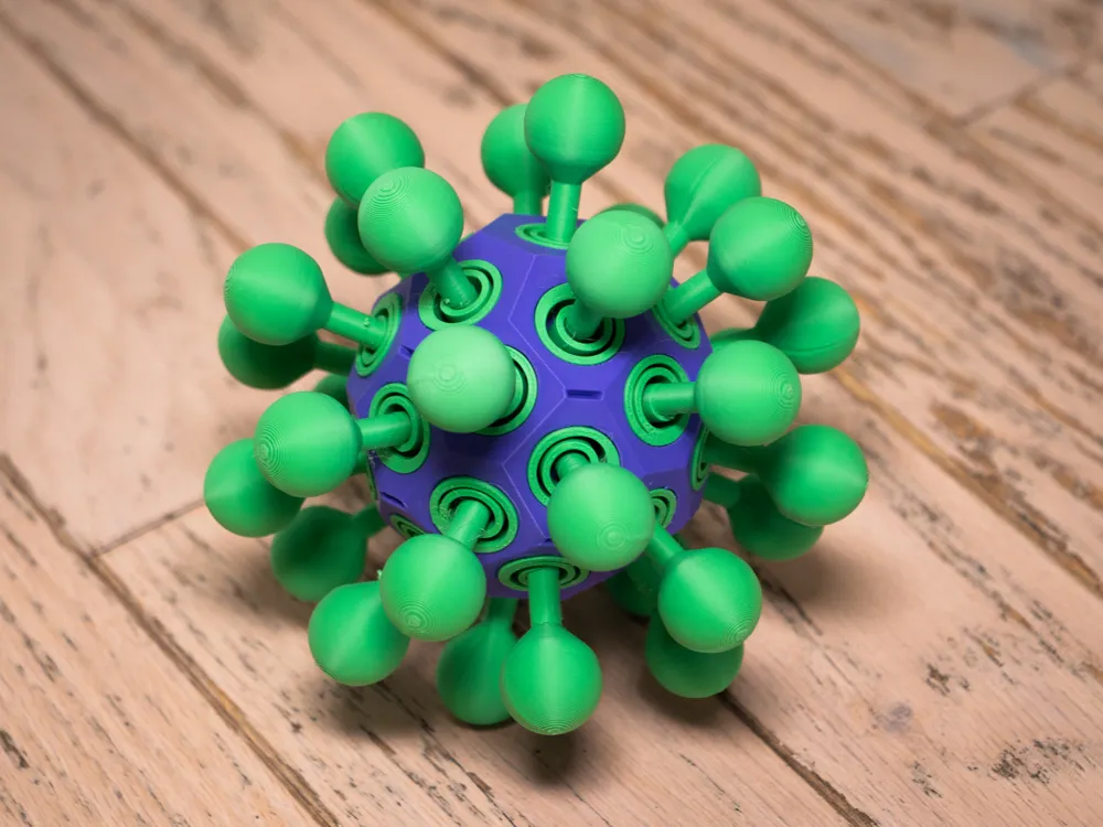 Coronavirus Types