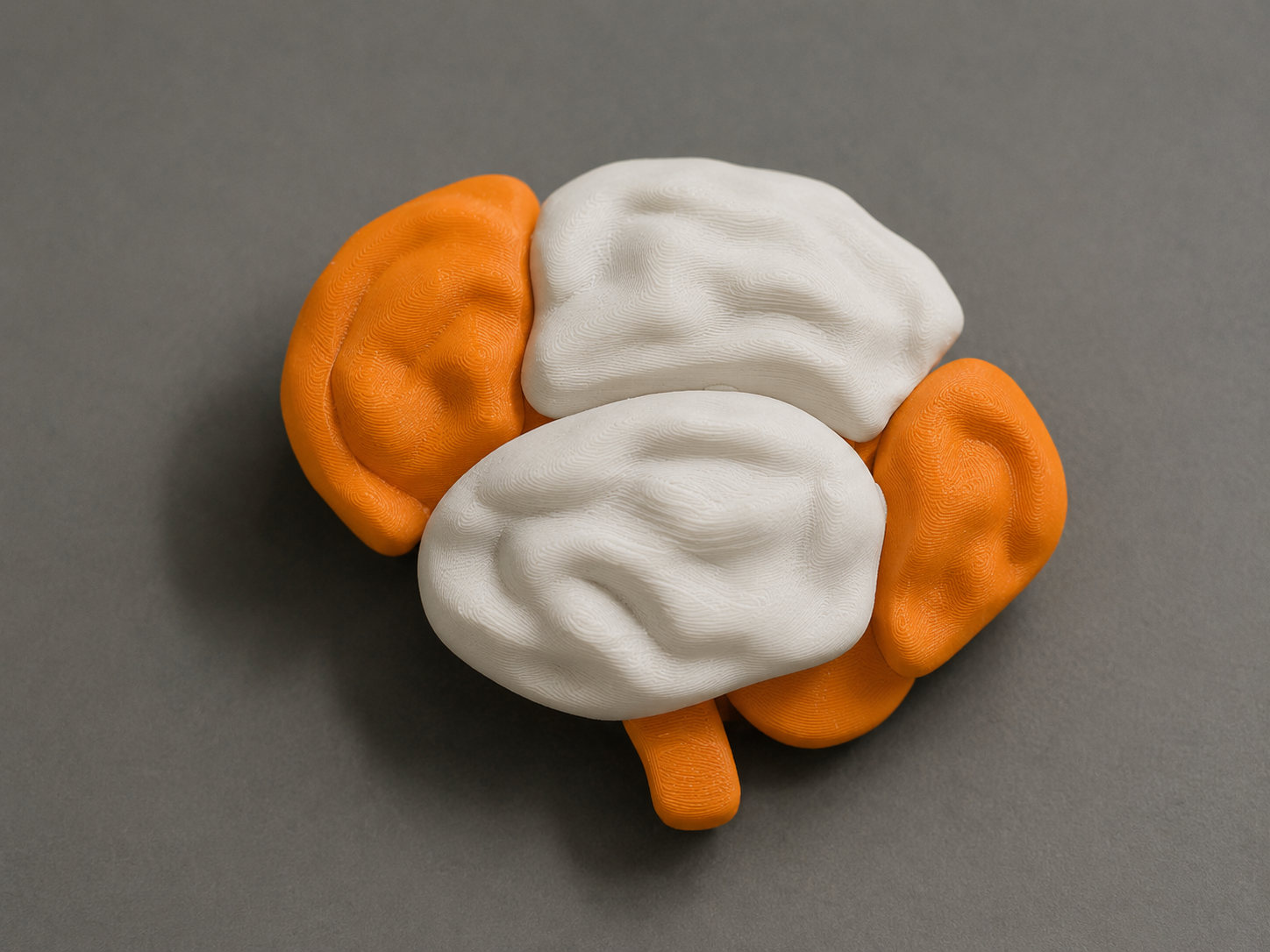 Brain Interactive